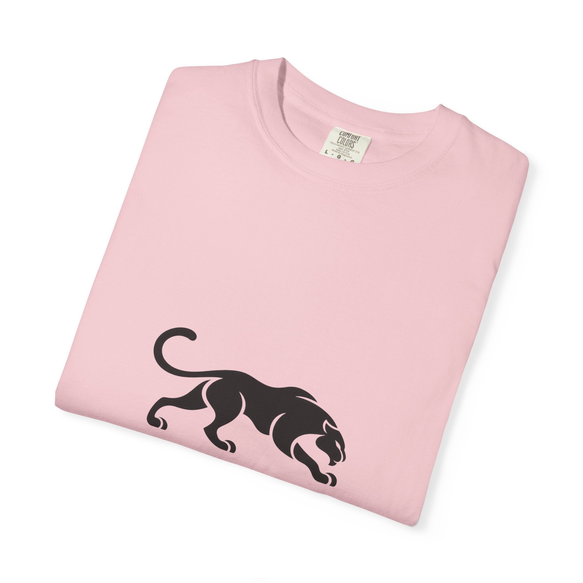 KYOA — The Panther (DISCIPLINE)