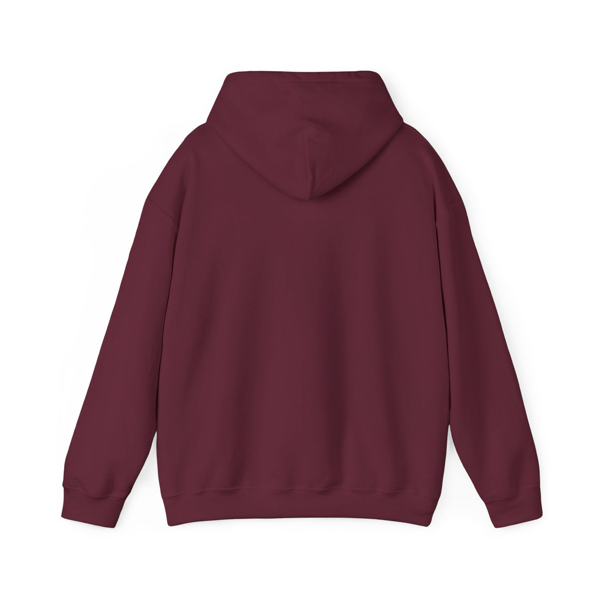 Raising an Eagle — Eagle Country Hoodie