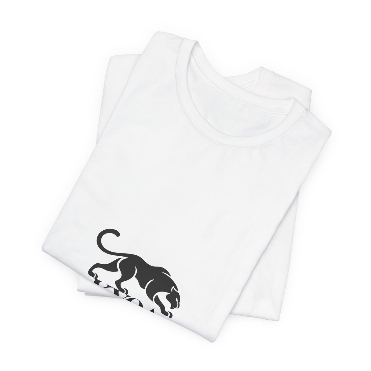 KYOA — The Panther · Team Colors (DISCIPLINE)
