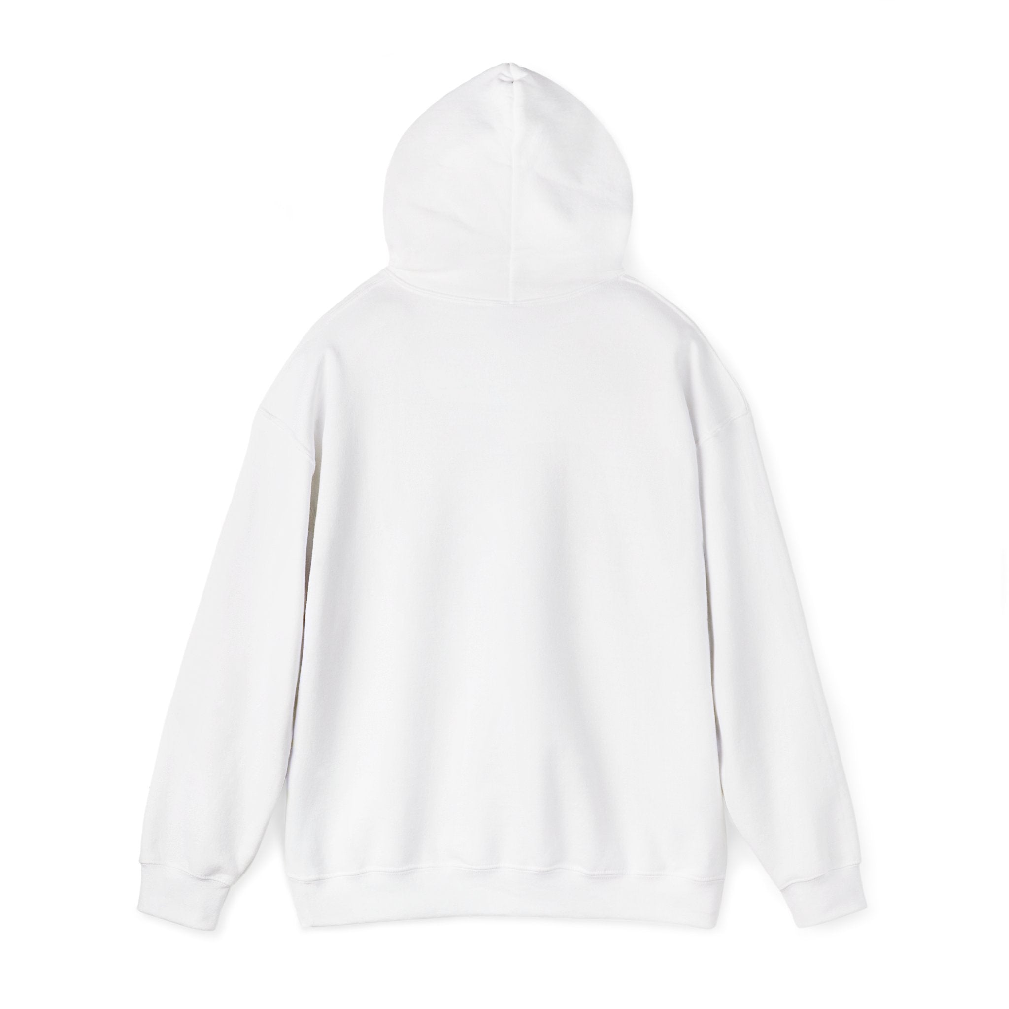 Raising an Eagle — Eagle Country Hoodie