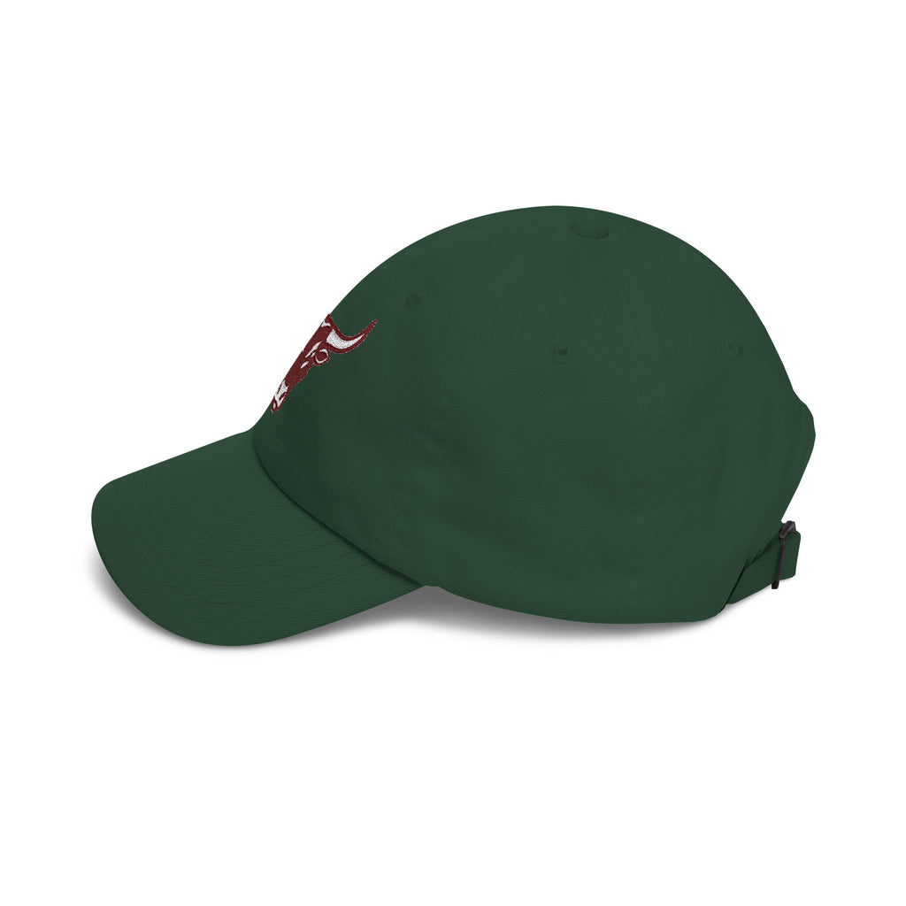 Longhorn — Embroidered Dad Hat