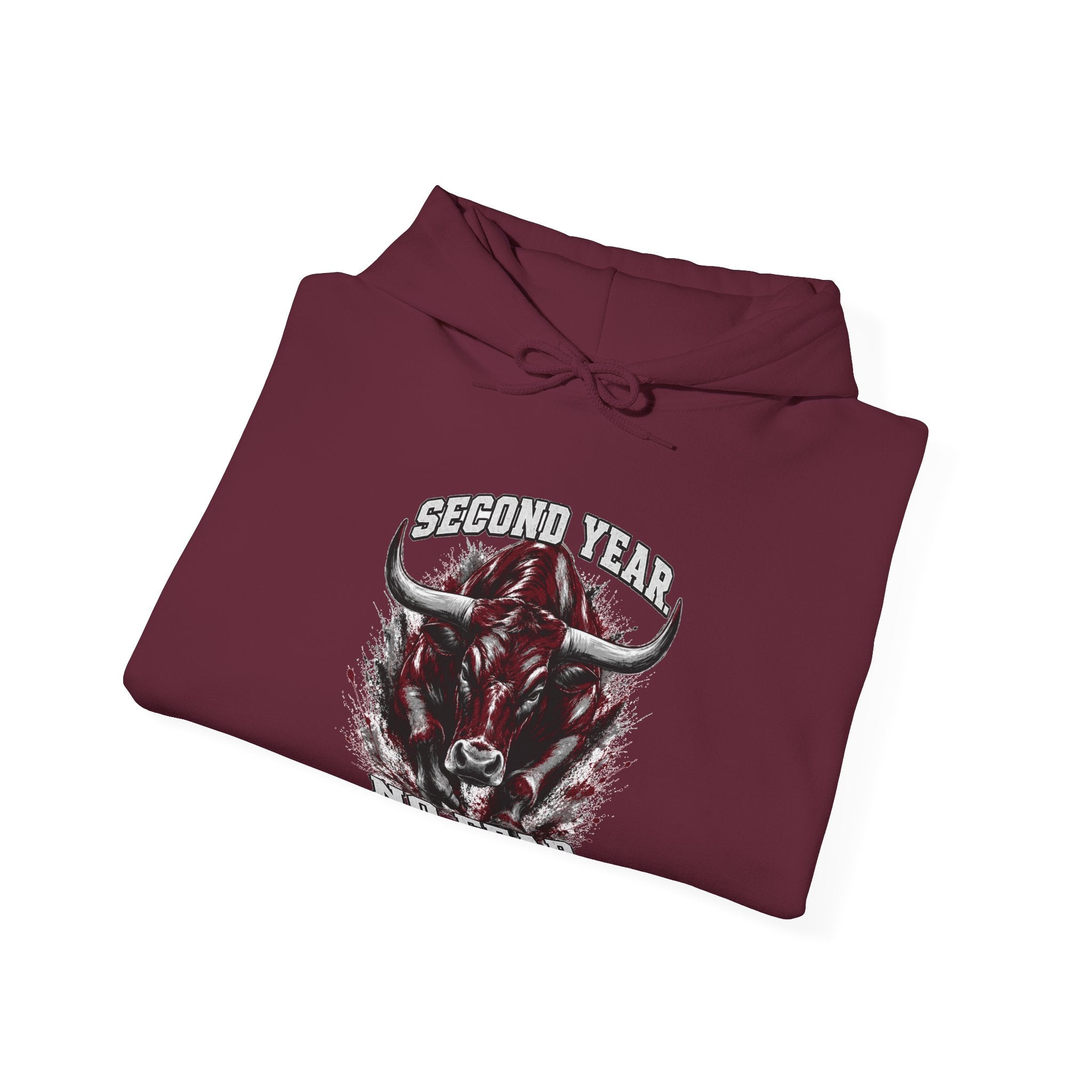 Longhorn Country Class of 2029 Hoodie