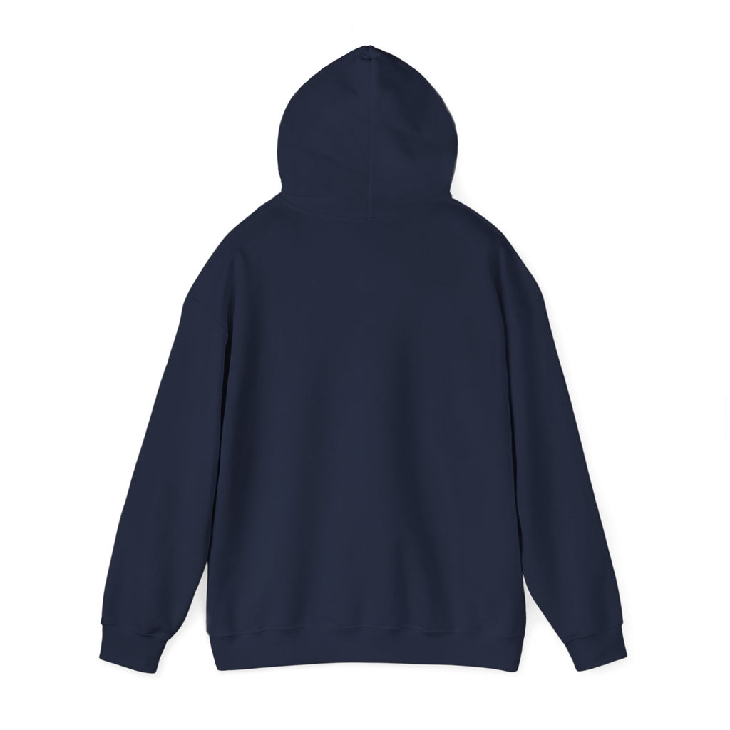 Raising an Eagle — Eagle Country Hoodie
