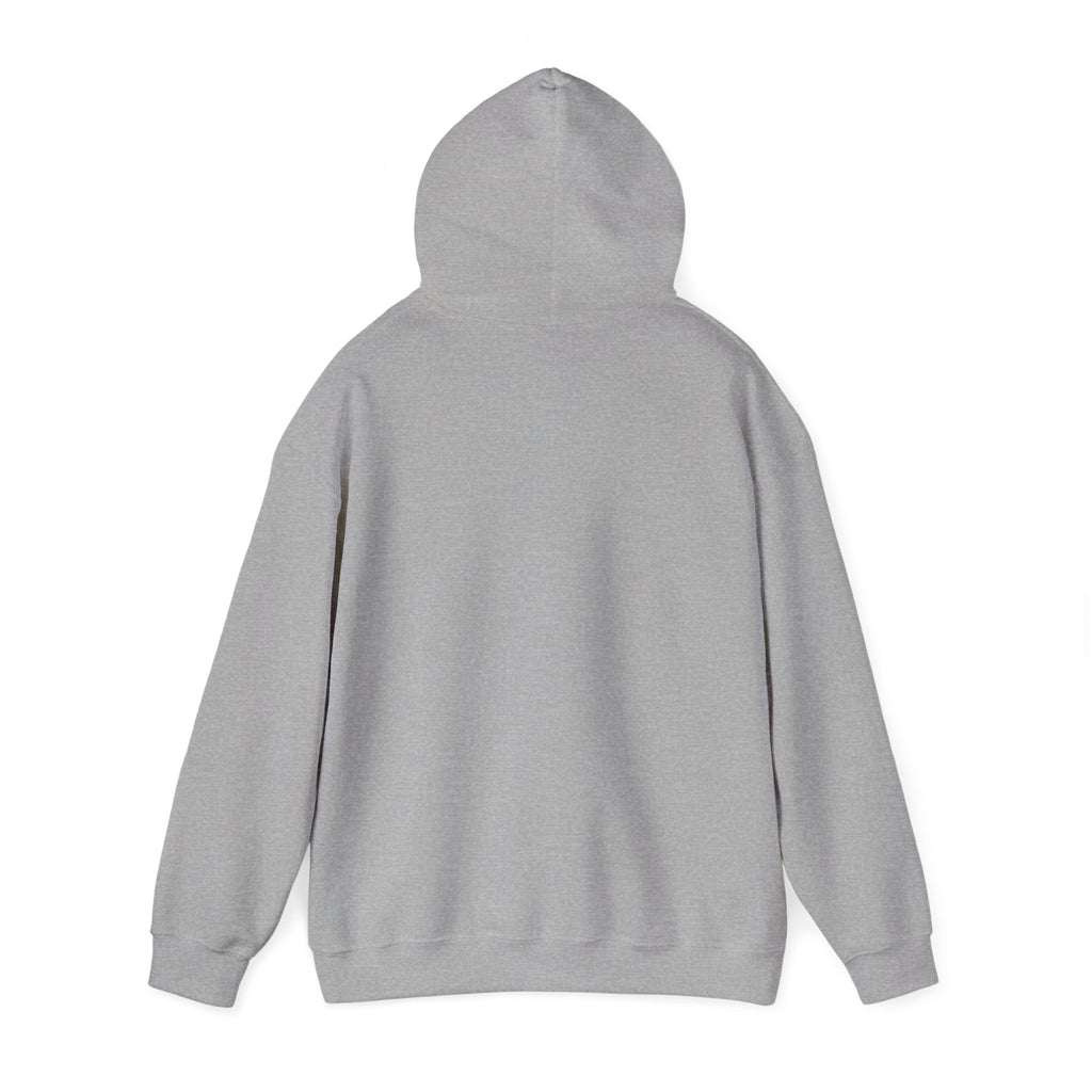 Raising an Eagle — Eagle Country Hoodie