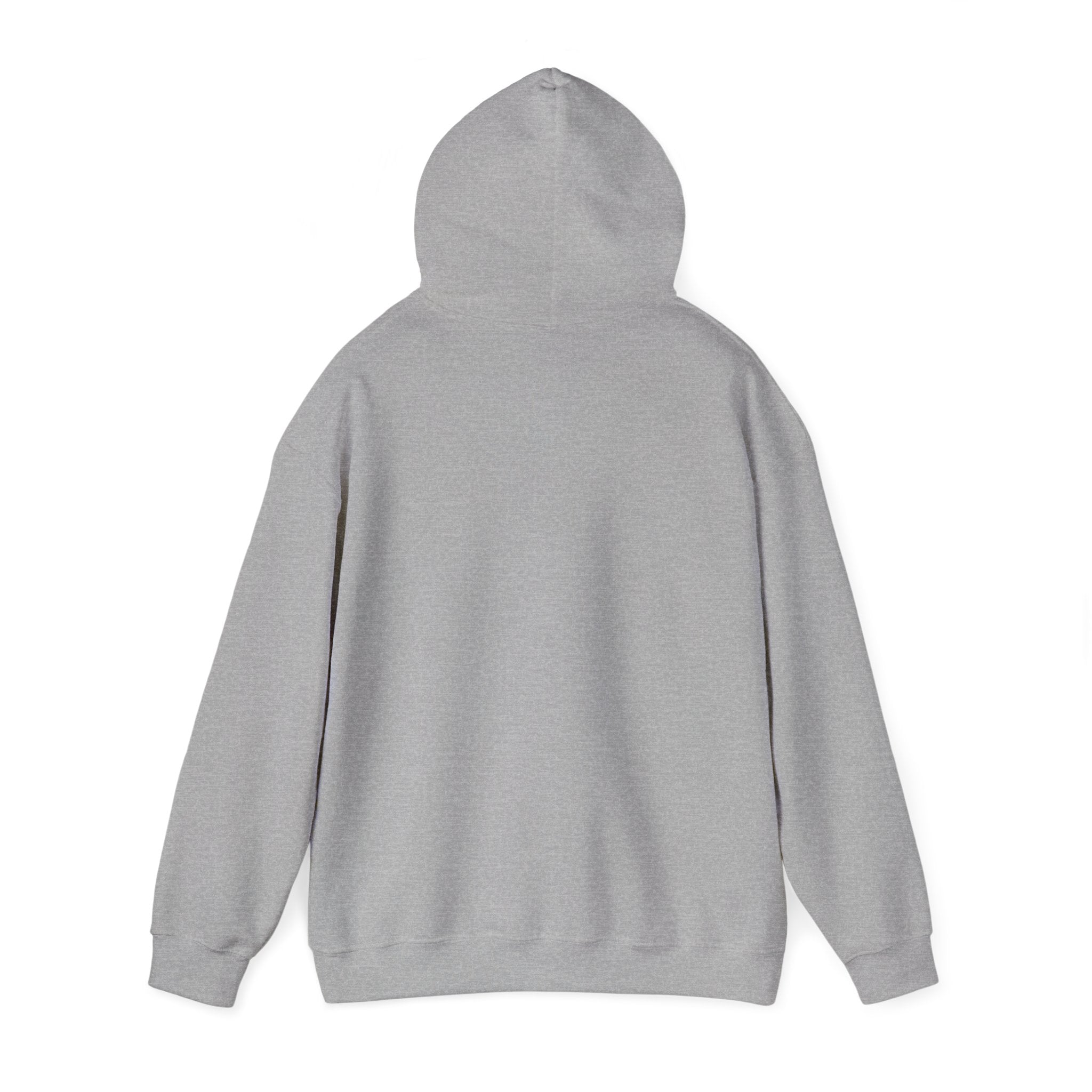 Raising an Eagle — Eagle Country Hoodie
