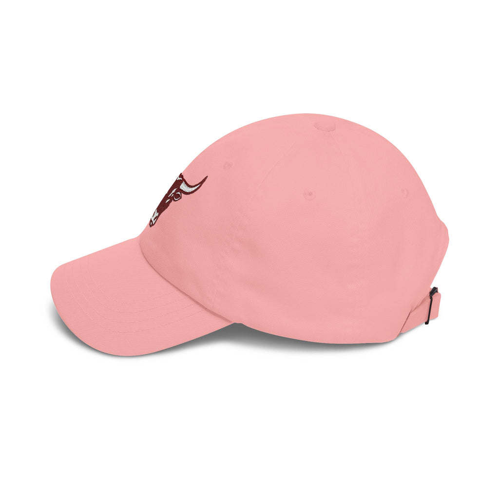 Longhorn — Embroidered Dad Hat