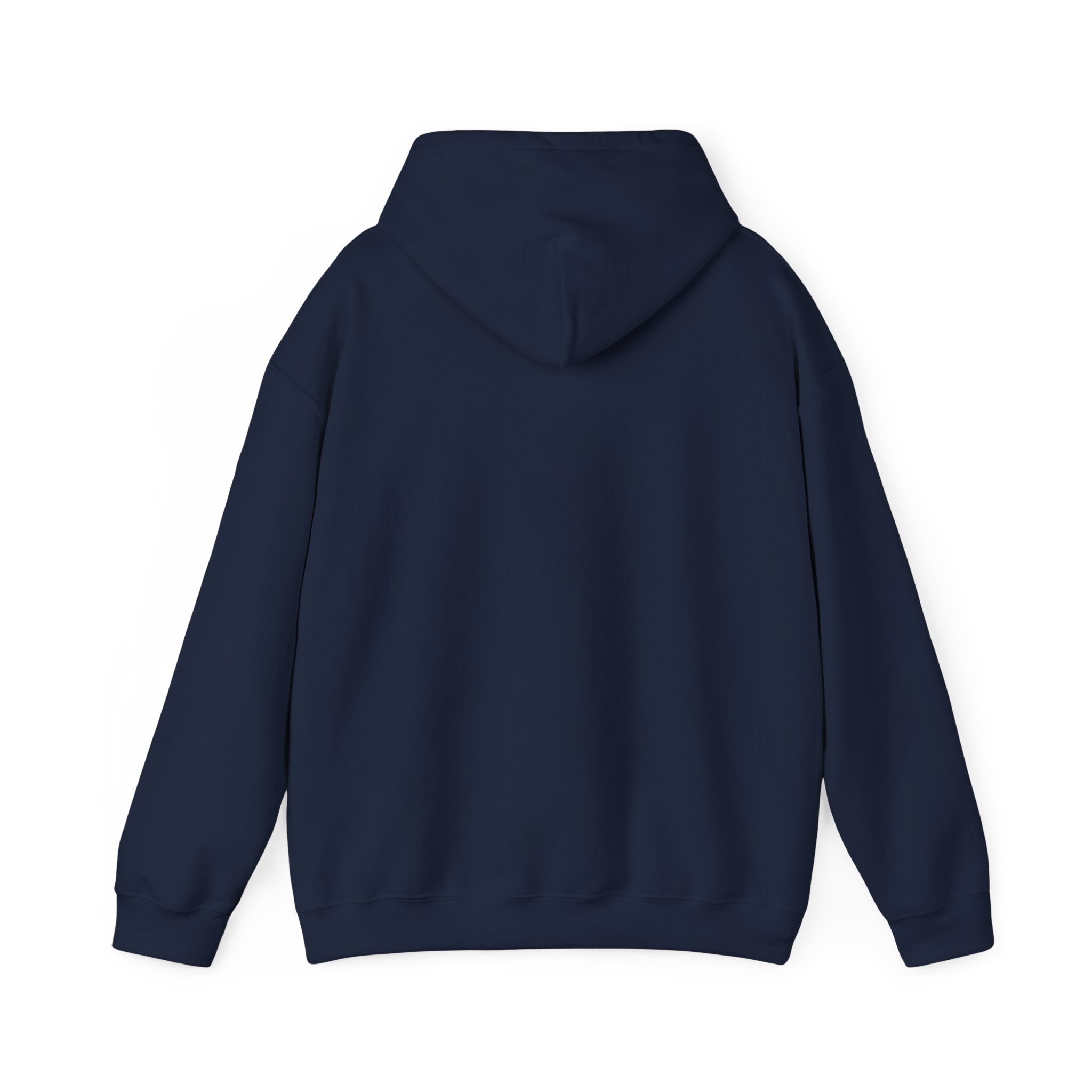 Next Up 2028 — Panther Country Hoodie